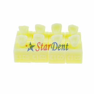 Modèle d'enseignement en résine dentaire, modèle de pratique de remplissage <span class=keywords><strong>composite</strong></span> dentaire, modèle de <span class=keywords><strong>dents</strong></span> en résine <span class=keywords><strong>pour</strong></span> <span class=keywords><strong>les</strong></span> <span class=keywords><strong>dents</strong></span> antérieures ou postérieures - Product Image 2