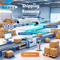 Agente de envío Rumania Flete aéreo Cluj Napoca Aeropuerto internacional Servicios de reenvío Transporte de carga