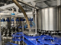 Machine de remplissage robuste pour jus gazeux industriels, station de mise en conserve de liquides haute précision avec interface PLC et contrôle numérique