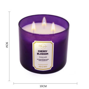 Grande bougie parfumée écologique à la cire de soja au design luxueux très vendue mèches personnalisées essentielles pour une longue durée de combustion - Product Image 3