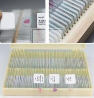 100 Pieces Zoology Histology Glass Microscope Slides Sets in Wooden Box