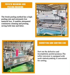 Linea di Produzione Automatica di <span class=keywords><strong>Patatine</strong></span> <span class=keywords><strong>Fritte</strong></span> Congelate DY con <span class=keywords><strong>Disegni</strong></span> Forniti, Capacità 200-3000kg/h - Product Image 3
