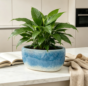 Pot de fleurs ovale peu profond en céramique émaillée bleue, décoration d'intérieur, conteneur de jardinage - Product Image 1