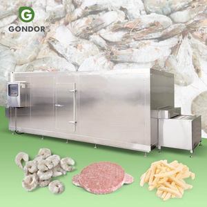 Machine de congélation rapide pour aliments surgelés, fruits (myrtilles, durian) et produits surgelés par congélation rapide (IQF) à l'azote liquide - Product Image 1