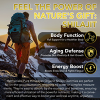 80P Bodywise Shilajit Gummies Extraits purs de plantes Himalaya Shilajit Gummies in Wild-Cultivated Bottle OEM Be
