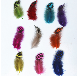 Plumas de Gallina de <span class=keywords><strong>Guinea</strong></span> con Puntos al por Mayor, 10g por Bolsa, para Manualidades, Suministros para Bodas, Disfraces de Mascarada, Ligeras y Fáciles de Usar - Product Image 1