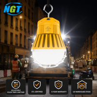 Guirlande d'ampoules LED IP65, éclairage temporaire pour atelier industriel, camping, travaux de construction