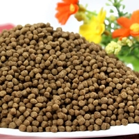 Ligne de production complète d'aliments pour animaux de compagnie Machine pour produire des aliments pour poissons Machine pour fabriquer des aliments pour animaux ou poissons