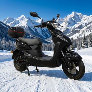 <span class=keywords><strong>Scooter</strong></span> électrique 48V 1000W 16 pouces, <span class=keywords><strong>homologué</strong></span> EEC COC, directement de l'usine OEM ODM, pour les distributeurs - Product Image 3