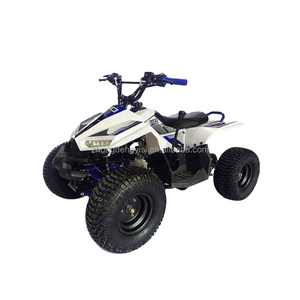 <span class=keywords><strong>Quad</strong></span> enfant SG Blazer 90 à essence 50CC/70CC/<span class=keywords><strong>90CC</strong></span> certifié CE avec transmission automatique, fourni directement par l'usine, remorques agricoles économiques - Product Image 1