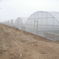 Serre de culture intérieure en plastique, rôle avec tunnel en plastique fabriqué en chine