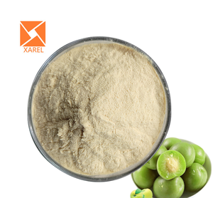 Polvere di Succo di Prugna Verde Naturale, Concentrato Puro di Frutta in Polvere - Product Image 3