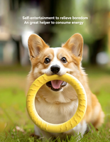 Juguete Ecológico para Perros con Anillo de Tracción de EVA, Alta Flotabilidad, Fácil de Limpiar, Interactivo, para Entrenamiento, Juego de Buscar y Masticar, para Jugar en el Agua