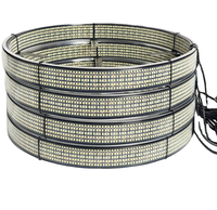 Kit d'éclairage de roue blanc pur 17 pouces en promotion – Accessoires auto, éclairage LED de roue haute qualité, 5 ou 10 rangées