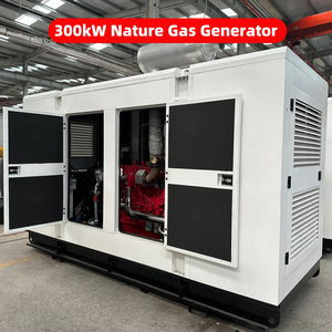 Cng LPG lng Hydro Biogas Propane Clo Tự nhiên Máy phát điện tuabin khí đặt powerd genset im lặng yên tĩnh gỗ sinh học Máy phát điện - Product Image 2