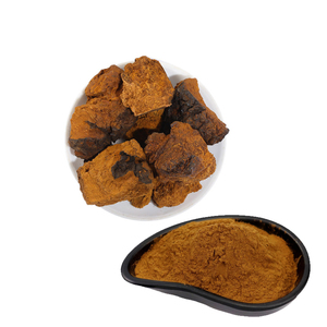 hochwertiges <span class=keywords><strong>Chaga</strong></span>-Pilzpulver aus <span class=keywords><strong>Chaga</strong></span>-Pilzen-Extrakt - Product Image 4