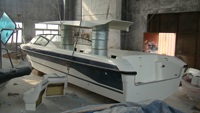 Bateau à coque ouverte Passenger 880, bateau de tourisme à vendre