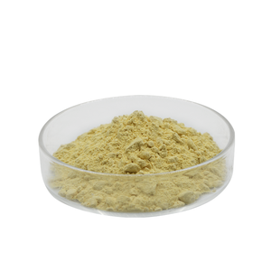 Poudre de Taxifoline Jaune Clair la Plus Vendue, Taxifoline de Qualité Pharmaceutique pour le Soutien Métabolique - Product Image 1