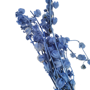 Wholesale Event Decorations Resin Art Real Natural Immortal <strong>Dried</strong> <strong>Plants</strong> and Preserved Flowers - Product Image 5