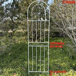 Panneau de treillis de jardin en fer pour plantes grimpantes, support pour roses et clématites, clôture extérieure décorative, grande taille - Product Image 2