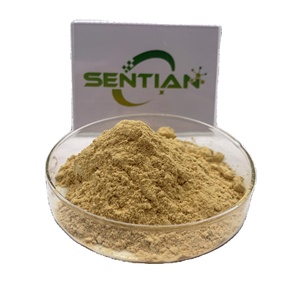 Extrait naturel de Polygonatum odoratum 10:1 poudre d'extrait de Rhizoma Polygonati Sibiricum 30% polysaccharide - Product Image 1