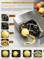 300-350 Stuks/uur Groente- en Fruit Schilmesjes Ronde Fruit Schilmesjes Ovale Fruit Schilmachine voor Straatverkopers Fruitwinkels