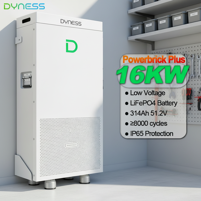 High Quality IP65 LiFePO4 Battery 15kWh 16kWh Dyness Powerbrick Pro Plus Solar ESS Energy Storage System