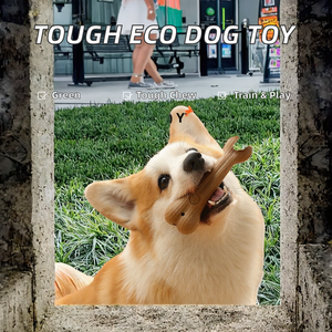2026 Bâton à mâcher pour chien en bois de café naturel, écologique, qui couine, pour le nettoyage des dents, résistant à l'usure et aux morsures, et anti-halitose - Product Image 3