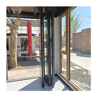 Puertas Plegables de Triple Hoja, Resistentes, de Doble Vidrio Templado, Impermeables, para Patio Exterior, Modernas, de Aleación de Aluminio, para Entrada Interior/Exterior