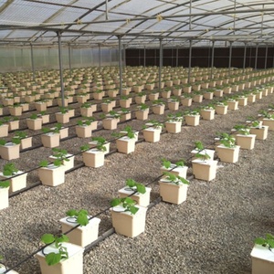Sistemas de Cultivo Hidropónico para Interiores, Macetas de Plástico, Sistema de Cultivo en Cubetas Holandesas con Tapas - Product Image 6
