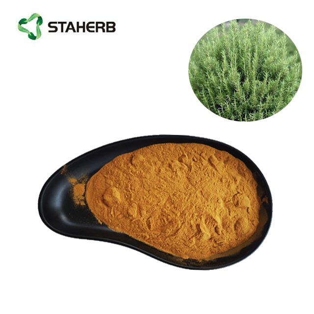 rosemary extract rosmarinic acid 5% powder