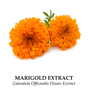 Extrait de fleur de souci de haute qualité 20% poudre de lutéine pour la santé des yeux - Product Image 5