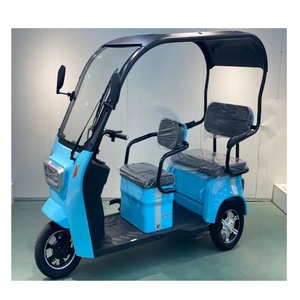 Triciclo Eléctrico de Alta Calidad con Gran Espacio, Neumáticos Anchos y Techo - Product Image 2