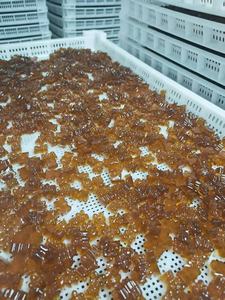 Natürliche Sägepalmen-Gummibärchen für Erwachsene zur Unterstützung des weiblichen Hormonhaushalts und des Wohlbefindens als tägliche Nahrungsergänzung - Product Image 4