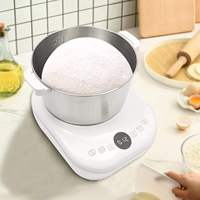 Pétrin électrique 5L en acier inoxydable avec fonction de fermentation et panneau de commande intelligent pour usage domestique