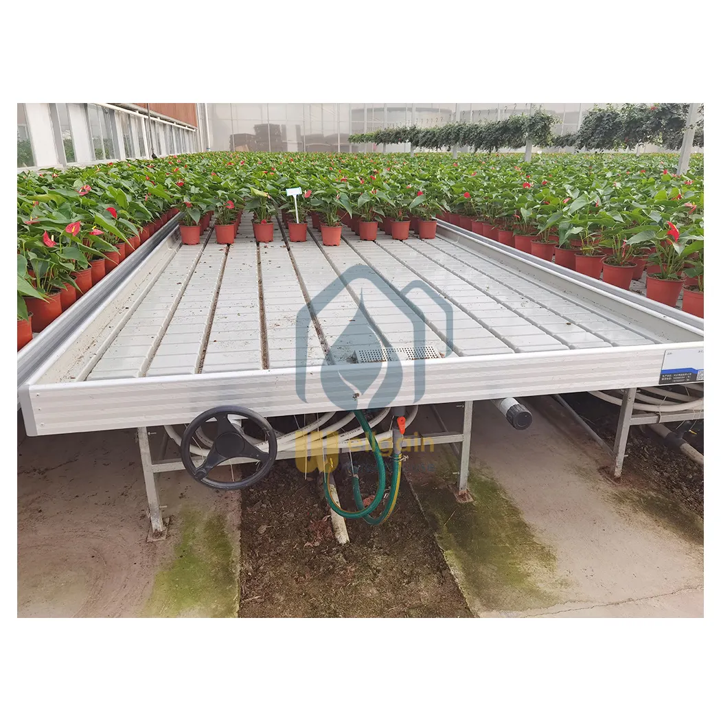 2021 Top Quality Flood Tables and greenhouse rolling table for sale