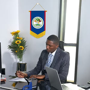 Logotipo personalizado Impresión digital Material satinado Colgante <span class=keywords><strong>Bandera</strong></span> de banderín de <span class=keywords><strong>Belice</strong></span> para espejo retrovisor de coche y decoración del hogar - Product Image 3