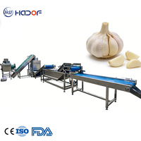 Automatische knoflook vacuümverpakkingsmachine, automatische natte knoflook schilmachine, knoflook schilproductielijn
