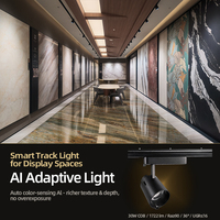 Projecteur LED sur rail intelligent 22W 30W AC90-265V CRI 90 UGR 16 Rotatif à 355 degrés 3500K 4200K pour l'éclairage des galeries d'art