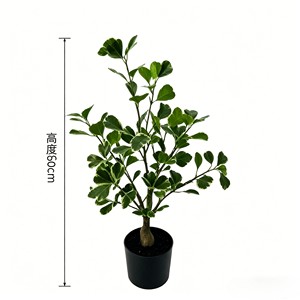 Planta de hojas anchas de caucho con acabado brillante de lujo, con hojas ovaladas gruesas para esquina de oficina, pasillo de hotel, sala de estar, estilo moderno minimalista. - Product Image 2