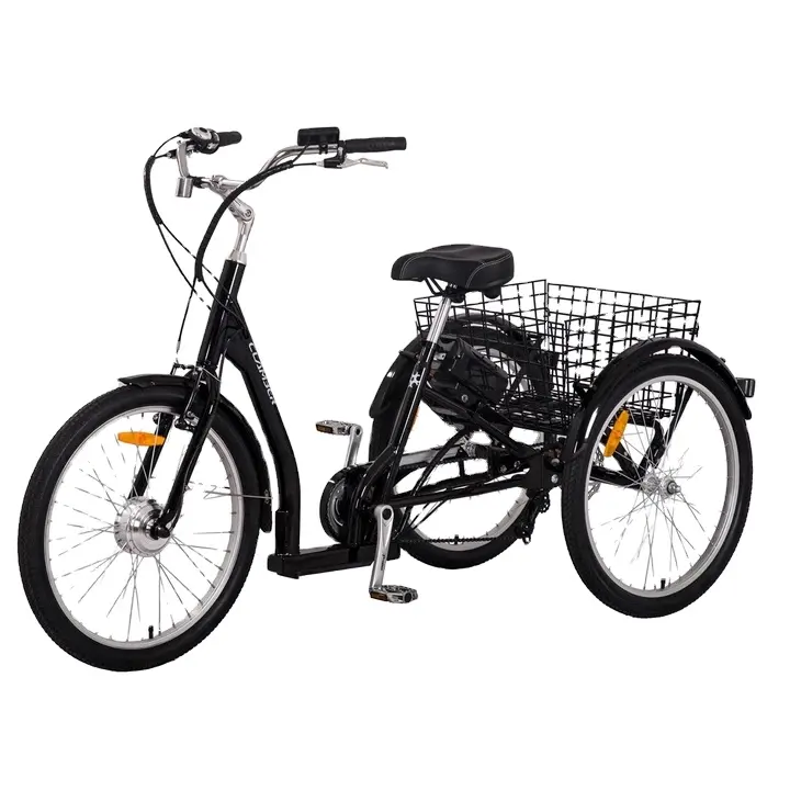 कॉसव्हील साइड कार पेडल असिस्ट बाइक साइडकार पालतू जानवरों को ले जाने के लिए इलेक्ट्रिक फैट टायर ट्राइसाइकिल इलेक्ट्रिक बाइक 3 व्हील