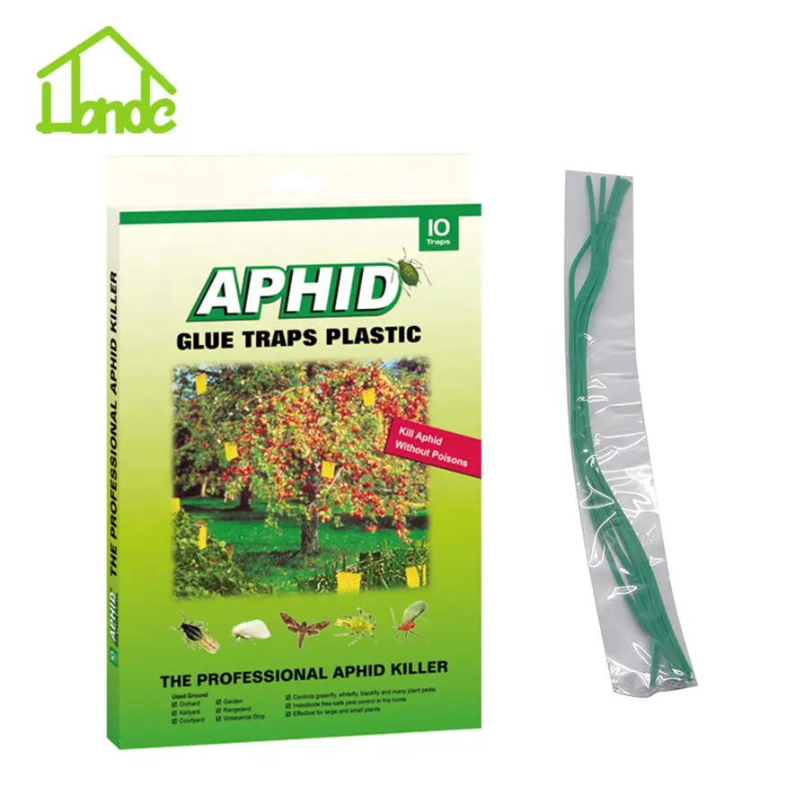 Two Sided Glues Trap to Control Moth Flies Aphids Thrips Strong Flies Traps Bugs Sticky Board Catching Aphid Insects Killer