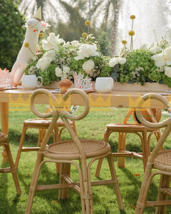 Silla Infantil de Ratán Hecha a Mano, Moderna y Segura, para Eventos de Hotel, Fiestas de Cumpleaños, Asientos de Mimbre Natural para Niños - Product Image 3