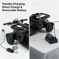 Tricycle électrique pliable pour adultes en stock dans l'entrepôt de l'UE, vélo électrique à 3 roues avec batterie amovible, panier avant, siège confortable, idéal pour les voyages