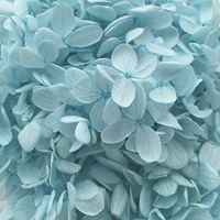 Hochzeit Deko Hochzeit Deko matériel conservé hortensia dans boîte à fleurs préservée pour la décoration de mariage décor à la maison