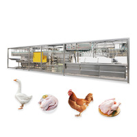 Usine d'abattage de poulets, machine d'abattage automatique de poulets