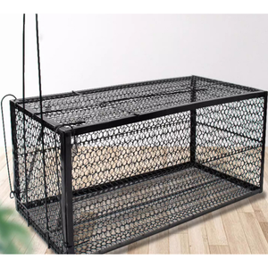 Cage de <span class=keywords><strong>piège</strong></span> pour petits et grands animaux Cage de <span class=keywords><strong>piège</strong></span> pour renard possum Koala lapin oiseau <span class=keywords><strong>chat</strong></span> - Product Image 5