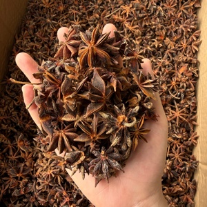 Anís estrellado natural, hierba seca, especias, condimento entero en venta - Product Image 3