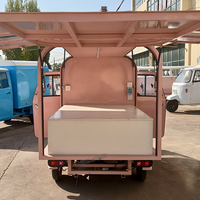 Personnalisé Mini Camion De Nourriture Panier De Crème Glacée Mobile Hot Dog Panier Pas Cher Mobile Électrique Camion De Nourriture Ape Tuk Tuk Tricycle Chariot De Nourriture