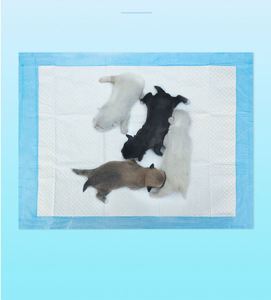 Tapis d'entraînement imperméables en fibres pour chiens, 60x60cm, grande absorption, et tapis de propreté 80x150cm, aides à l'entraînement pour chiots - Offre spéciale Roumanie - Product Image 4